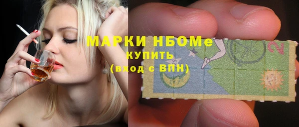 PSILOCYBIN Вяземский