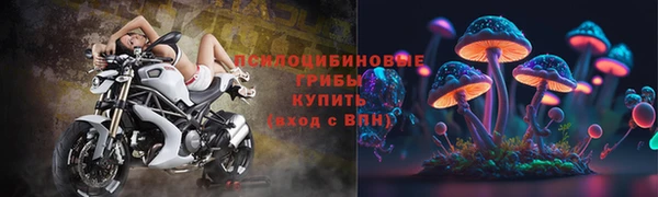 PSILOCYBIN Вяземский