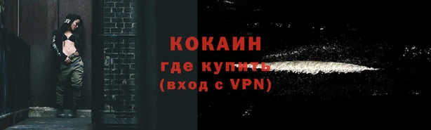 PSILOCYBIN Вяземский