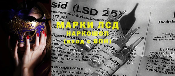 PSILOCYBIN Вяземский