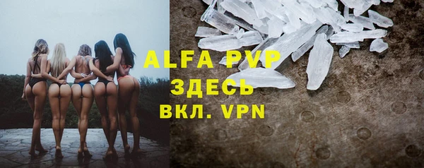 PSILOCYBIN Вяземский