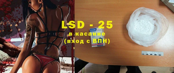PSILOCYBIN Вяземский