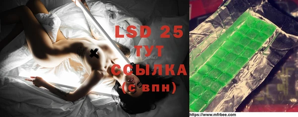 PSILOCYBIN Вяземский