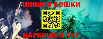 spice Бийск