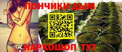 spice Бийск