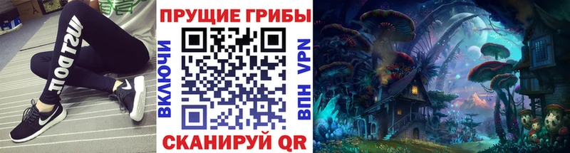 Галлюциногенные грибы MAGIC MUSHROOMS сколько стоит Гусь-Хрустальный