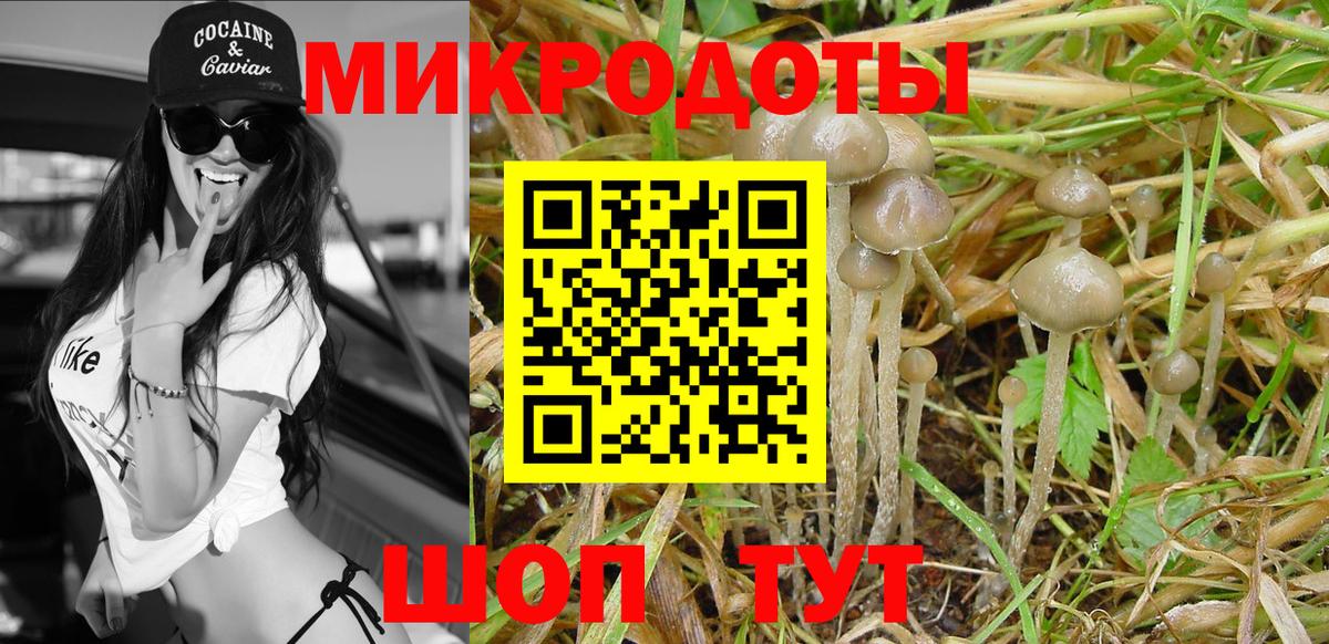 Галлюциногенные грибы прущие грибы Гусь-Хрустальный