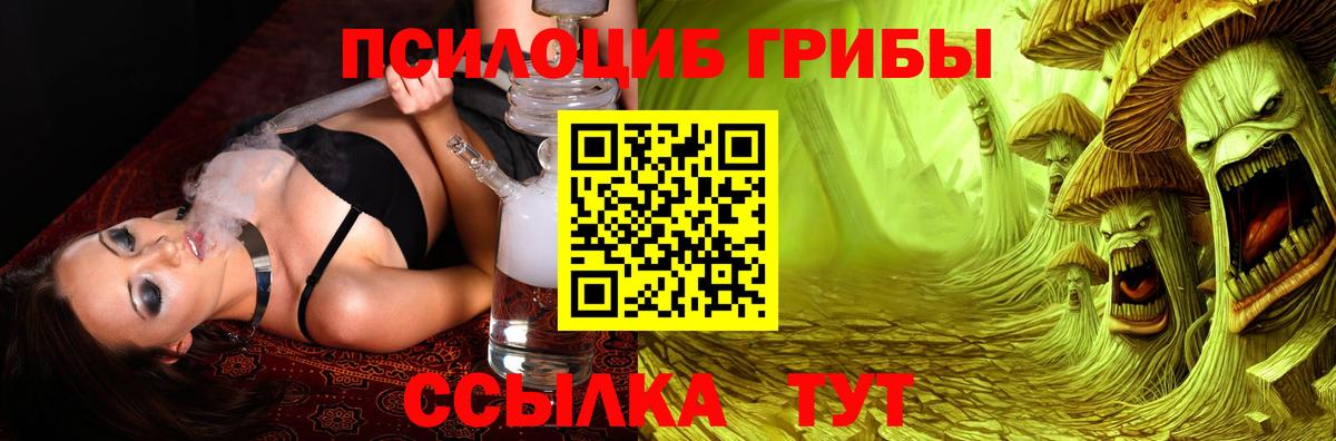 Гусь-Хрустальный  Псилоцибиновые грибы Psilocybine cubensis  Псилоцибиновые грибы мицелий  Вход с VPN 
